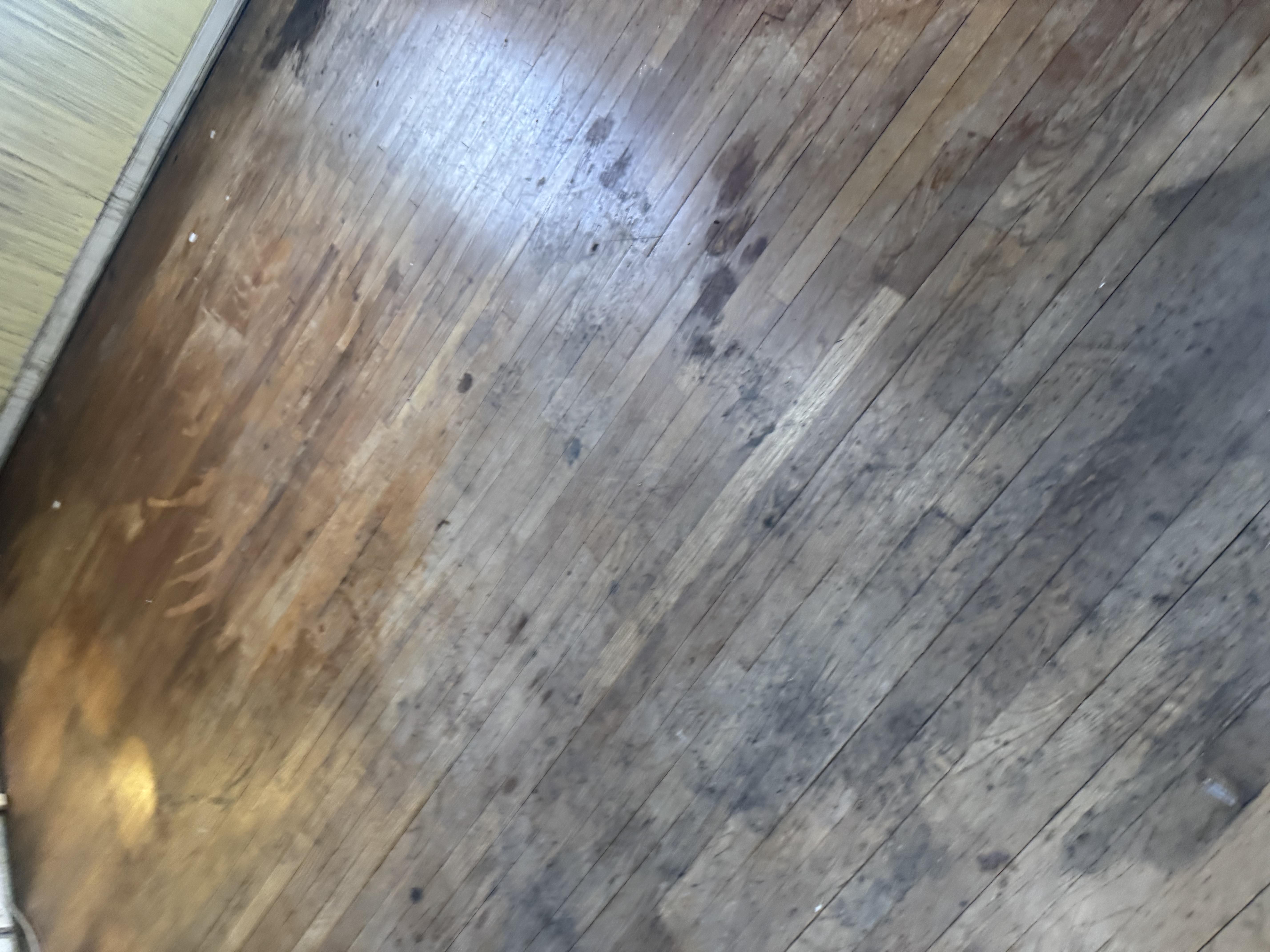 Full Apartment Renovation After Fire Damage – Brooklyn NY