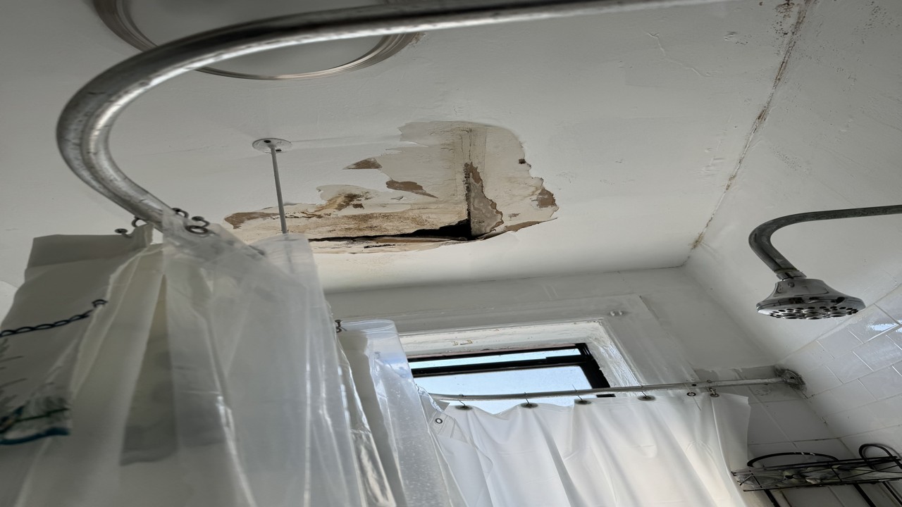 Project 6 Image 1